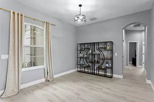 22927 Bay Cedar Dr, Land O Lakes, FL 34639 - Photo 8