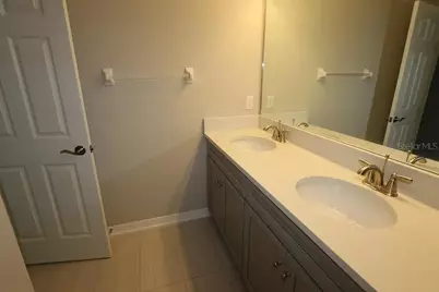 29897 Southwell Lane, Wesley Chapel, FL 33543 - Photo 22