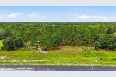 8616 Spring Forest Lane, Wesley Chapel, FL 33544 - Photo 6