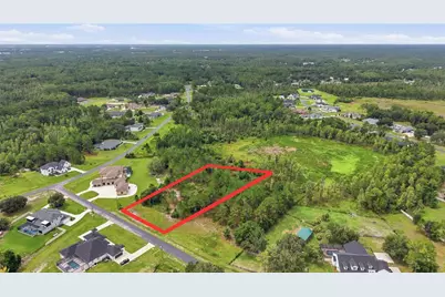 8616 Spring Forest Lane, Wesley Chapel, FL 33544 - Photo 4