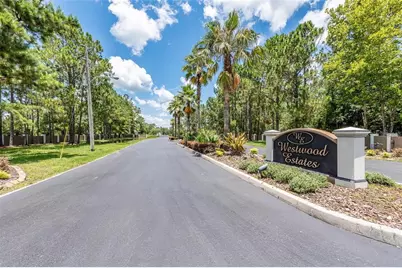 8616 Spring Forest Lane, Wesley Chapel, FL 33544 - Photo 2
