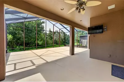 20931 Diamonte Drive, Land O Lakes, FL 34637 - Photo 54