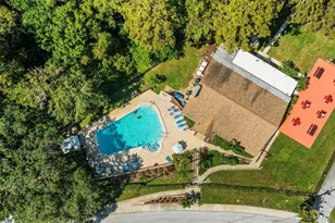 1335 Queen Anne Dr, Palm Harbor, FL 34684 - Photo 44