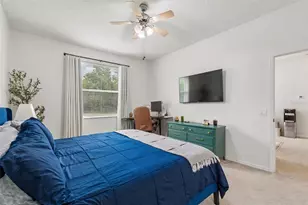 19029 Chemille Dr, Lutz, FL 33558 - Photo 38
