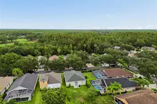 19029 Chemille Dr, Lutz, FL 33558 - Photo 50