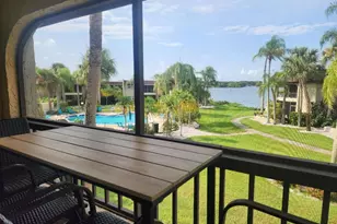1003 S Bayshore Blvd, Safety Harbor, FL 34695 - Photo 18