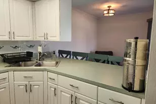 1003 S Bayshore Blvd, Safety Harbor, FL 34695 - Photo 10