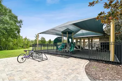 3335 Stonegate Falls Drive, Land O Lakes, FL 34638 - Photo 76