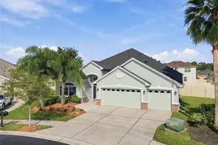 3335 Stonegate Falls Dr, Land O Lakes, FL 34638 - Photo 64