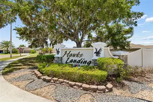 928 Zone Tailed Hawk Pl, Ruskin, FL 33570 - Photo 38