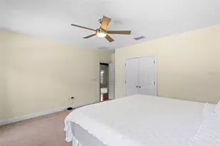 3317 W Leona St, Tampa, FL 33629 - Photo 52