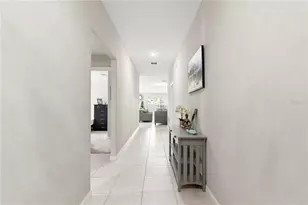 31664 Sun Kettle Loop, Wesley Chapel, FL 33545 - Photo 8