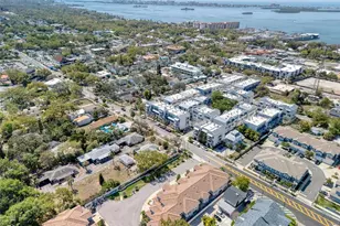 426 Birdsong Ln, Dunedin, FL 34698 - Photo 50