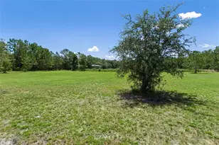 8408 Woodleaf Blvd, Wesley Chapel, FL 33544 - Photo 50
