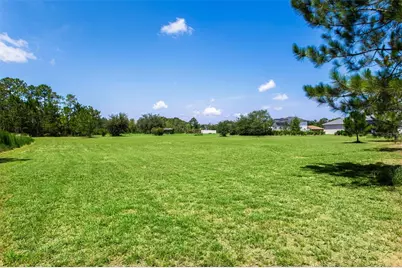 8408 Woodleaf Boulevard, Wesley Chapel, FL 33544 - Photo 52