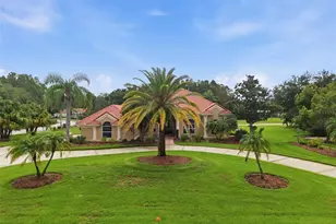 18655 Avenue Capri, Lutz, FL 33558 - Photo 1