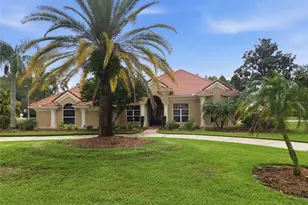 18655 Avenue Capri, Lutz, FL 33558 - Photo 48