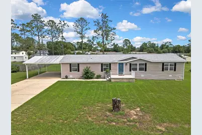 36125 White Fir Way, Dade City, FL 33525 - Photo 1
