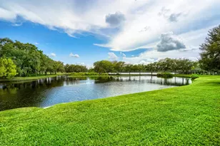 11724 Casa Lago Ln, Tampa, FL 33626 - Photo 36