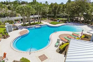 11910 Little Violet Cir, Riverview, FL 33578 - Photo 62