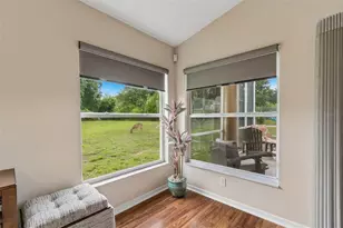20942 Sunsweet Ct, Land O Lakes, FL 34637 - Photo 18