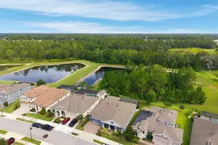 4263 Woodland Retreat Blvd, New Port Richey, FL 34655 - Photo 58