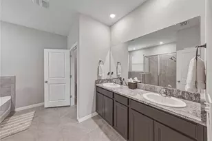 8382 Bower Bass Cir, Wesley Chapel, FL 33545 - Photo 30