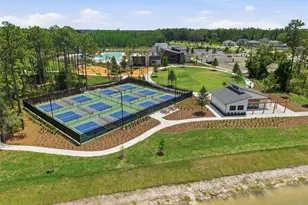 22465 Storybook Cabin Wy, Land O Lakes, FL 34637 - Photo 46