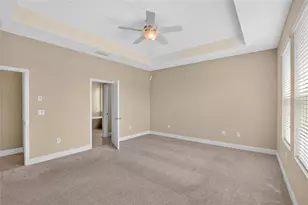 13328 Palmera Vista Dr, Riverview, FL 33579 - Photo 24