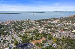 458 Scotland St, Dunedin, FL 34698 - Photo 68