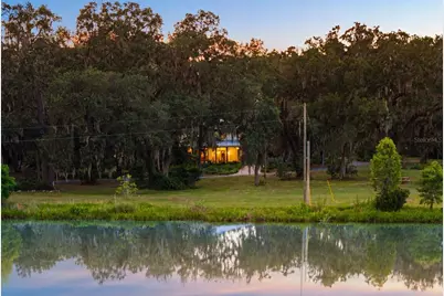 33415 Kiefer Road, Wesley Chapel, FL 33545 - Photo 12