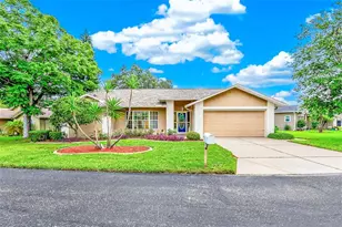 10529 Ayr Ct, New Port Richey, FL 34654 - Photo 1
