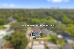 1224 E Chelsea St, Tampa, FL 33603 - Photo 76
