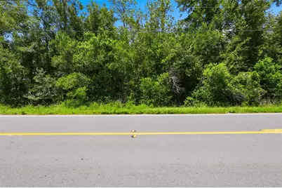 Centennial Road, Dade City, FL 33525 - Photo 14