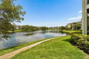 4115 Chatham Oak Ct, Tampa, FL 33624 - Photo 52