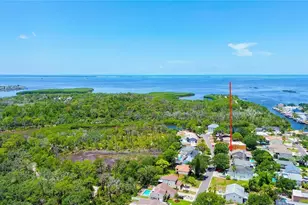 14 Baywood Dr, Palm Harbor, FL 34683 - Photo 1