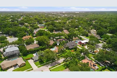 11007 Theresa Arbor Drive, Tampa, FL 33617 - Photo 56
