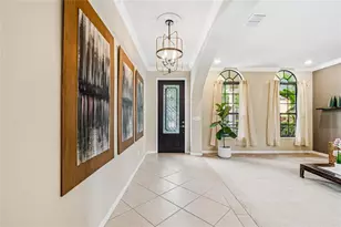 20338 Chestnut Grove Dr, Tampa, FL 33647 - Photo 8