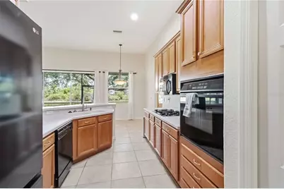12526 Burgess Hill Drive, Riverview, FL 33579 - Photo 8
