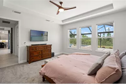33875 Castaway Loop, Wesley Chapel, FL 33543 - Photo 46