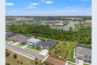 33875 Castaway Loop, Wesley Chapel, FL 33543 - Photo 4