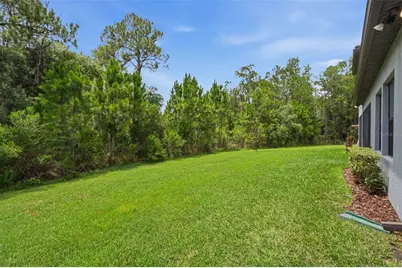 4441 Albero Place, Wesley Chapel, FL 33543 - Photo 58