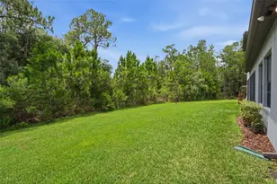 4441 Albero Pl, Wesley Chapel, FL 33543 - Photo 58