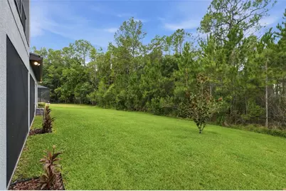 4441 Albero Place, Wesley Chapel, FL 33543 - Photo 60