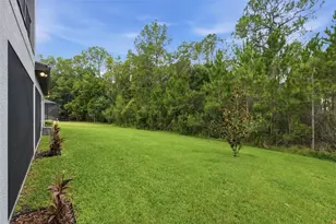 4441 Albero Pl, Wesley Chapel, FL 33543 - Photo 60