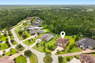 3225 Cordoba Ranch Blvd, Lutz, FL 33559 - Photo 66