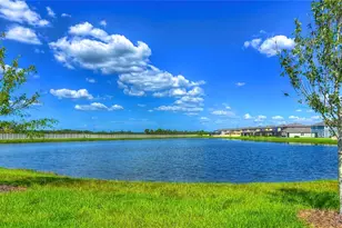 1621 Leaf Flower Ln, Lutz, FL 33558 - Photo 78