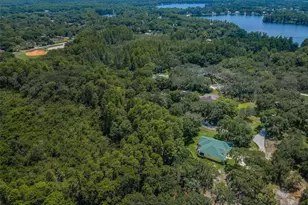 Coqui Ct, Odessa, FL 33556 - Photo 2