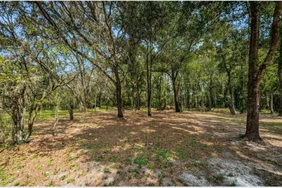Coqui Court, Odessa, FL 33556 - Photo 14