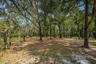 Coqui Ct, Odessa, FL 33556 - Photo 14